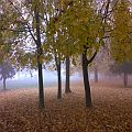 Autumn in Bükk National Park