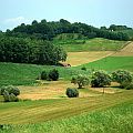 Hayfields and small woodlands in rural Croatia. Photo by MayaSimFan. http://en.wikipedia.org/wiki/File:Fields_hr_1.JPG