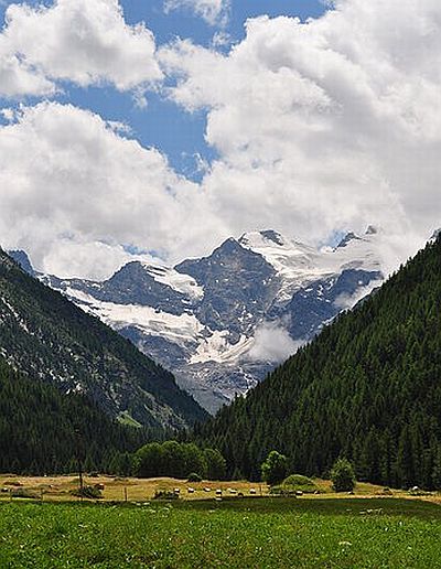 Green fields with haybales in the valley, framed by steep wooded slopes and the snow-capped peaks of the Gran Paradiso massif in the background.