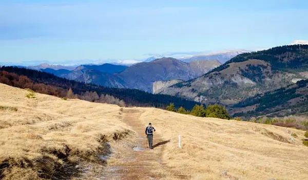 Person walking over a wide path through a high grassy plain with mountains in the background