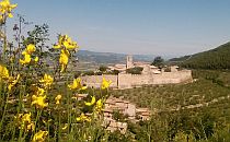 Old castle in the distance, yellow flowers in the focus