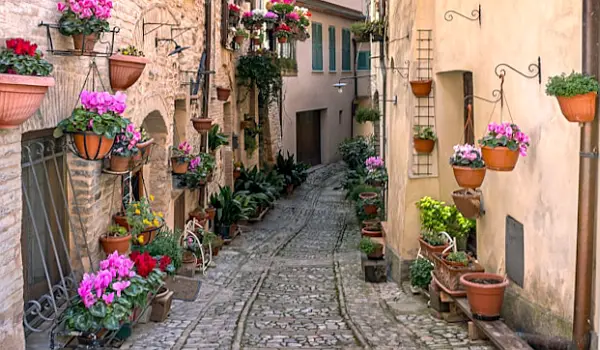 Narrow street with potted flowers along high, stone buildings in the Italian village of Spello in Umbria