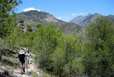 A pair of walkers coming up a mountain path