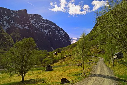 A walking path going through a green valley towards a mountain