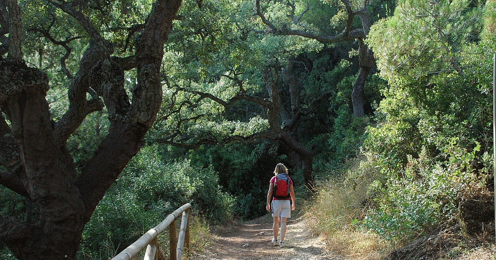 Female hiker walking down a forest road