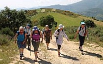 Small group of walkers coming up a hill along a sandpath