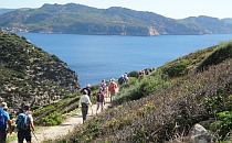 People walking on a hill along the sea