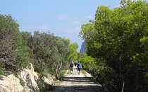 People walking on a astone path