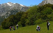 Group of hikers on a green meadow, snowcapped mountain tops in the background