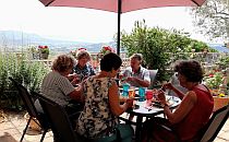 Group of people having a meal on a terrace table