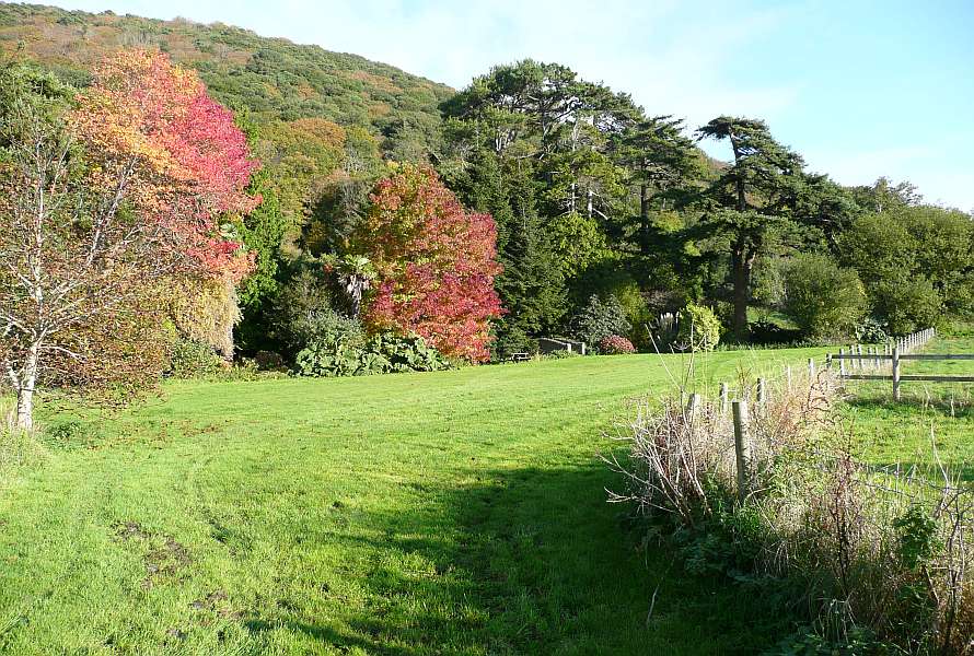 Walking path with a colourful leafed trees along