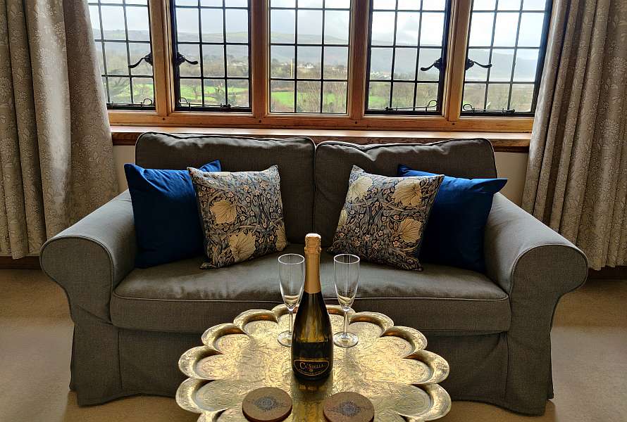 Luxury couch, a small table with a bottle of champagne