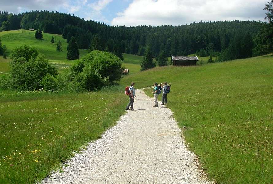 Walkers on a path in Bavaria