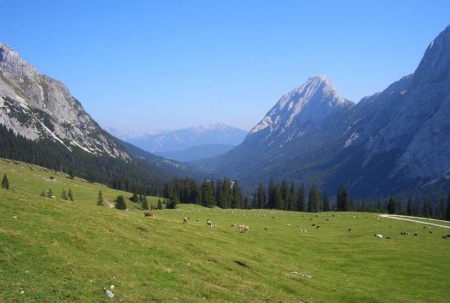 Grean meadow between high peaks