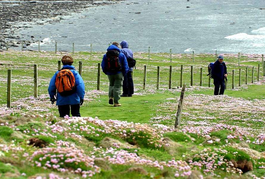 Hikers on a walking path, going towards the sea