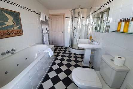 Bathroom with a toilet and a bathtub