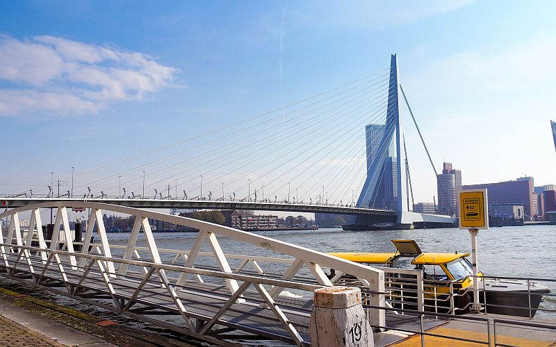 The Erasmus bridge in Rotterdam View towards the Erasmus Bridge in Rotterdam