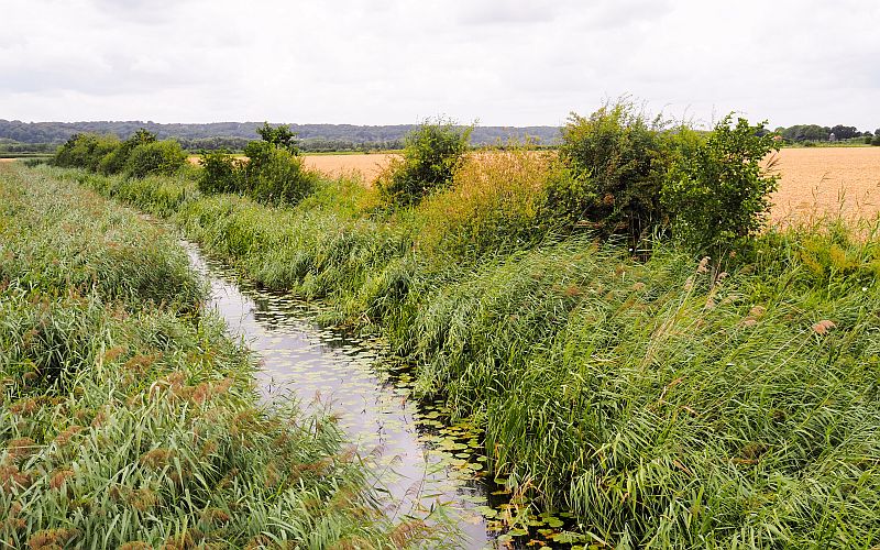 Close to the German border Small stream running between fields