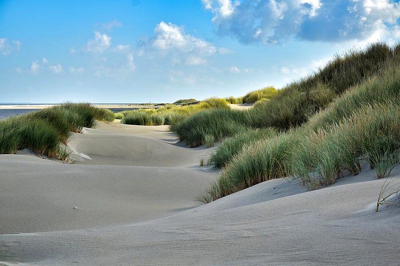 Sanddunes at the Dutch coast sanddunes at the Dutch coast