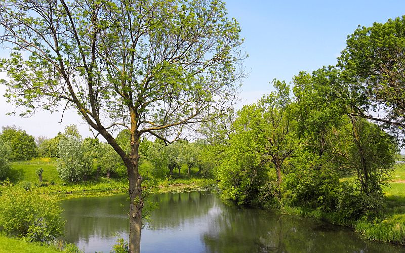 Large pond near the towns of Leerdam and Culemborg Large pond lined with trees