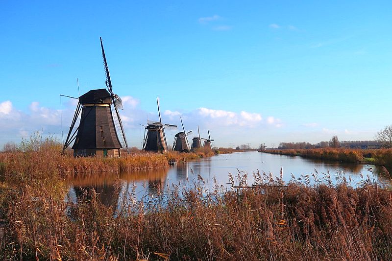 The windmills at Kinderdijk in the Netherlands are a popular tourist destination  windmills at Kinderdijk
