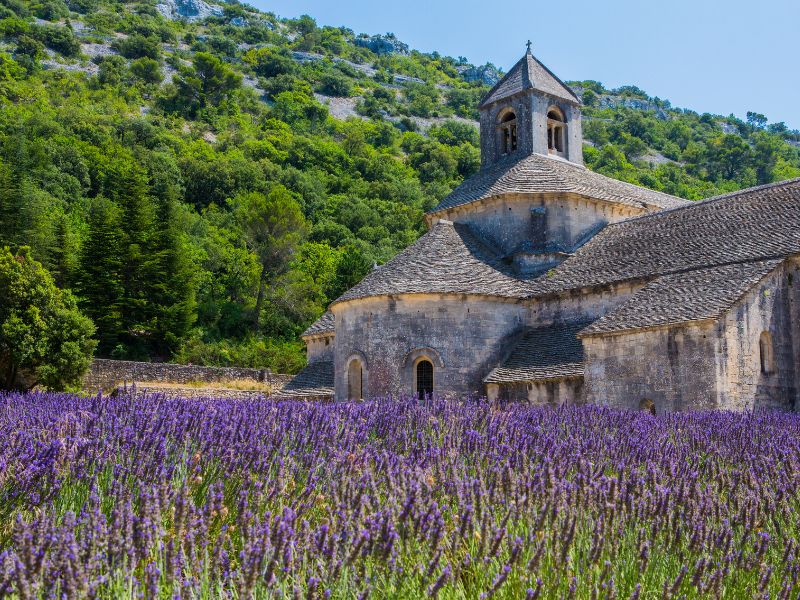 The Provence - popular walking holiday destination in France