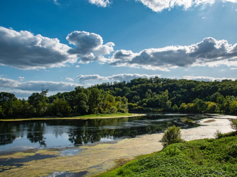 Wetland habitats along the Dordogne river in France