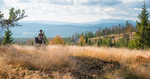 Man riding a horse on a hill in Norway, beautiful forests in the background